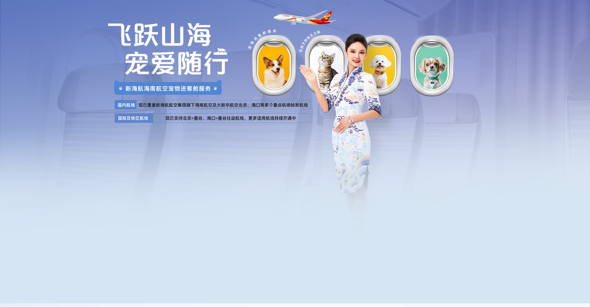 宠物进客舱
